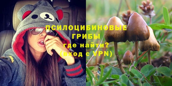 дмт Алексин