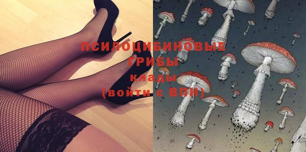 соль курить ск Алзамай